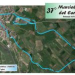 programma-carciofo