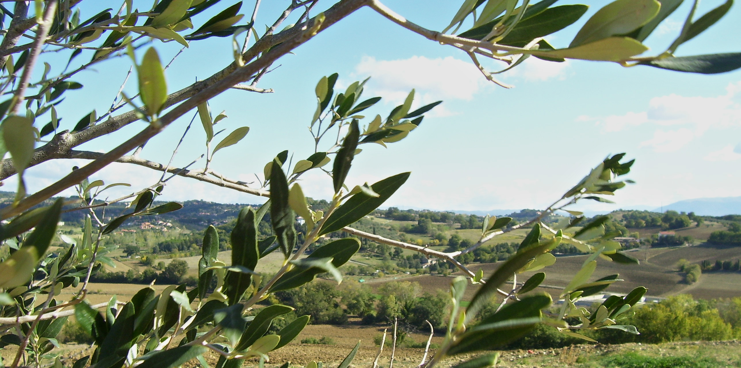 Ad Arezzo l’Incontro di Studi Acli 2015