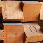 file6441302913532