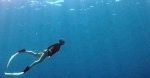 apnea-koh-phangan-freediving