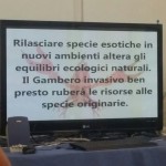 incontro progetto mol. 3