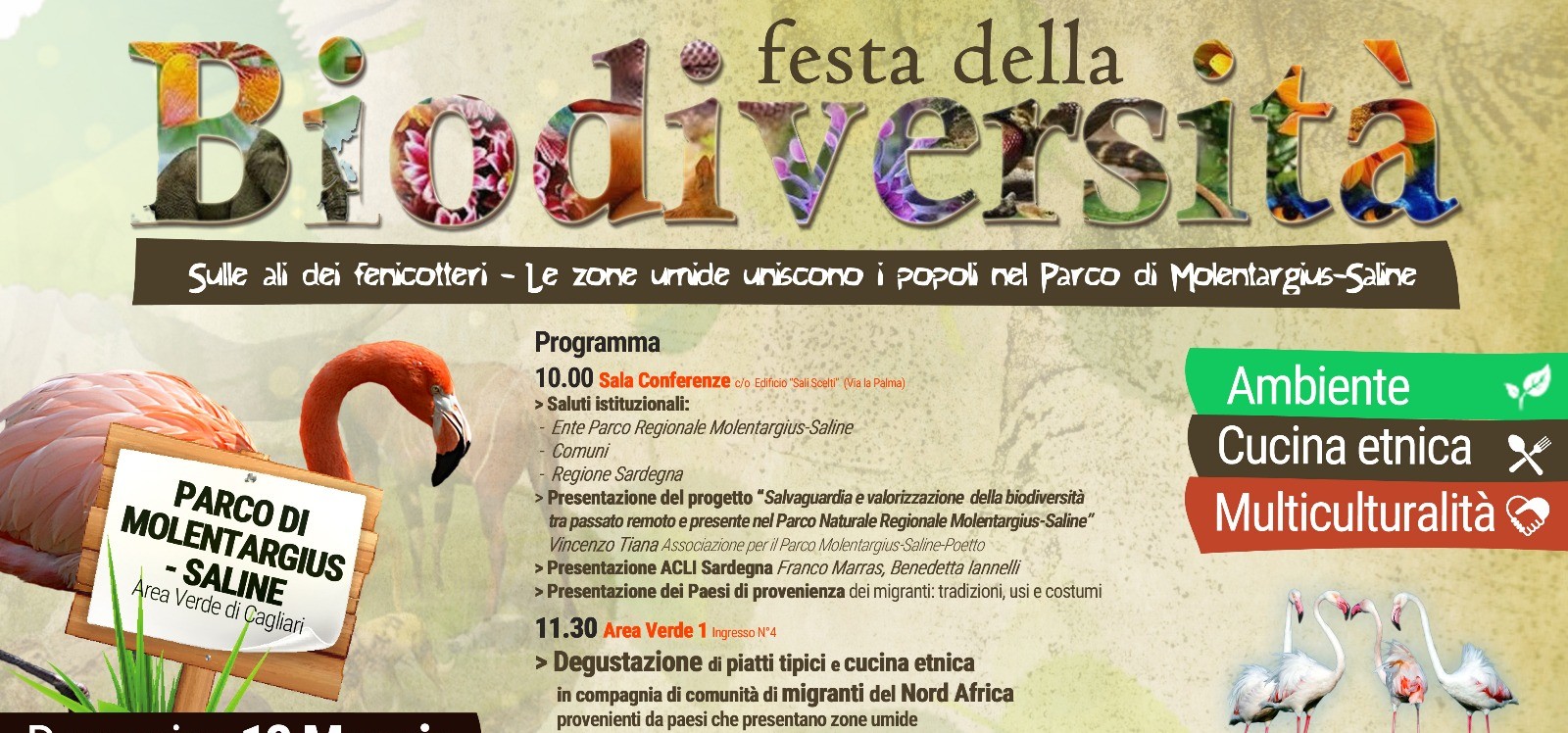 festa della biodiversità Scoprire e conoscere le zone umide Ramsar: a Cagliari arriva la