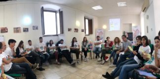Looking for partners. Project “International cooperation summer school”
