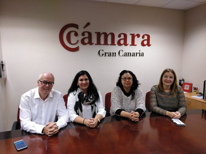 Incontro Canarie Dicembre 2019 Incontro Canarie Dicembre 2019