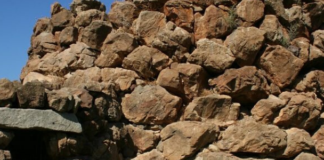 Corso online di management culturale. Buone pratiche per la Sardegna. management culturale