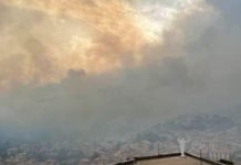 Aiuti per la Prov. di Oristano colpita dal fuoco