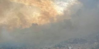 Aiuti per la Prov. di Oristano colpita dal fuoco