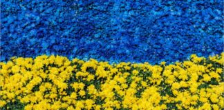 Le Acli aderiscono alla petizione “Io sto con Papa Francesco per la pace in Ucraina”, lanciata dalla Fondazione Terra Santa