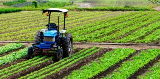 Acli Terra Sardegna: il 9 a Lotzorai e il 10 a Sedini incontro con agricoltori e allevatori sulla nuova PAC