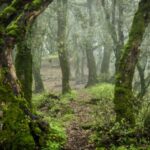 Copia di Immagini per sito ACLI(12)