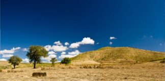 Cambiamento climatico e siccità