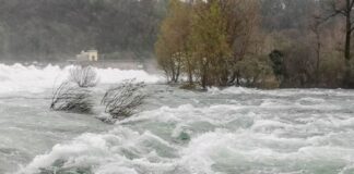 Ambiente e dissesto idrogeologico: una analisi dai dati nazionali e regionali