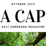 Copia di Immagini per sito ACLI