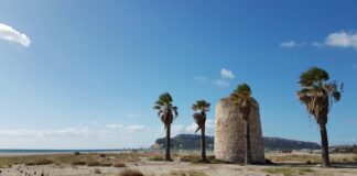 Il “malessere demografico” della Sardegna: provare a capirlo per tentare di cambiarlo
