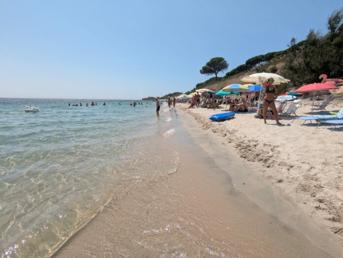 IMG-20250814-WA0016